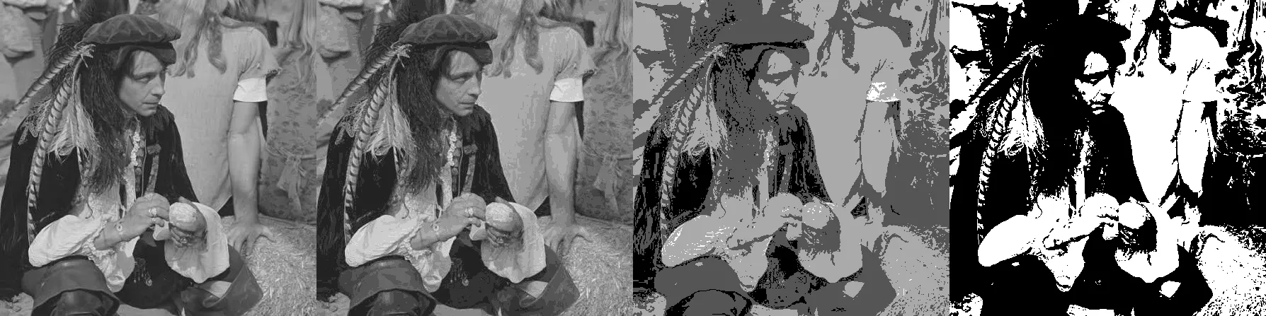 The same grayscale photograph at decreasing bit depths